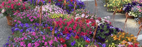 __emmahicks Profile Banner