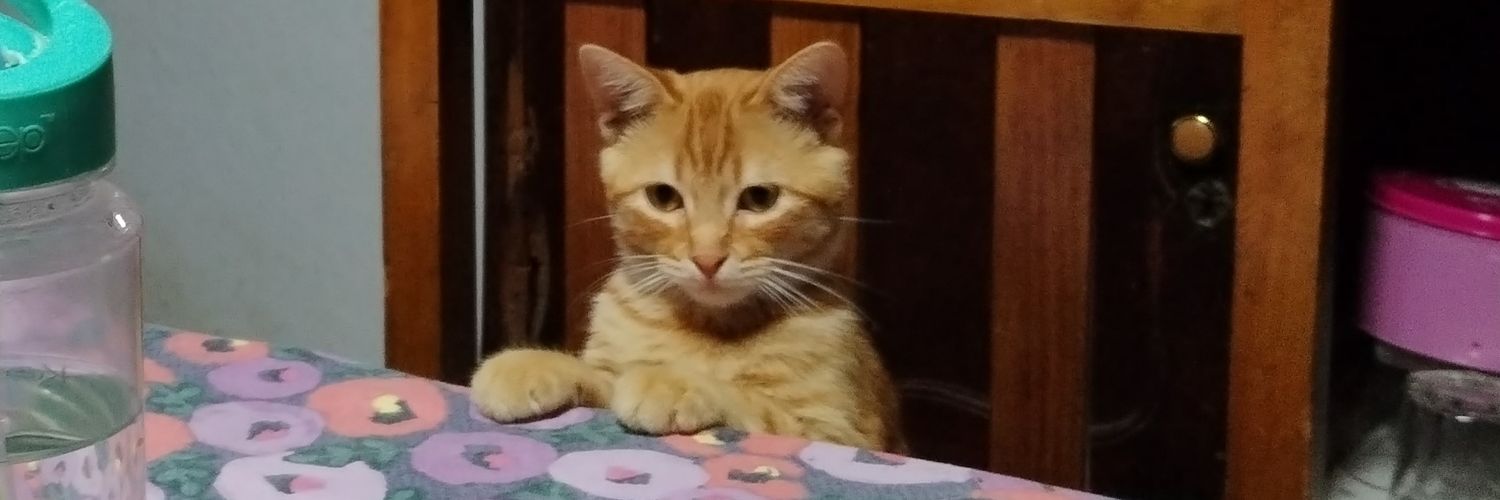 zelze ˚ ༘ ೀ⋆｡૮꒰ ˶• ༝ •˶꒱ა ♡ banner