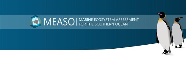 MEASO20 Profile Banner