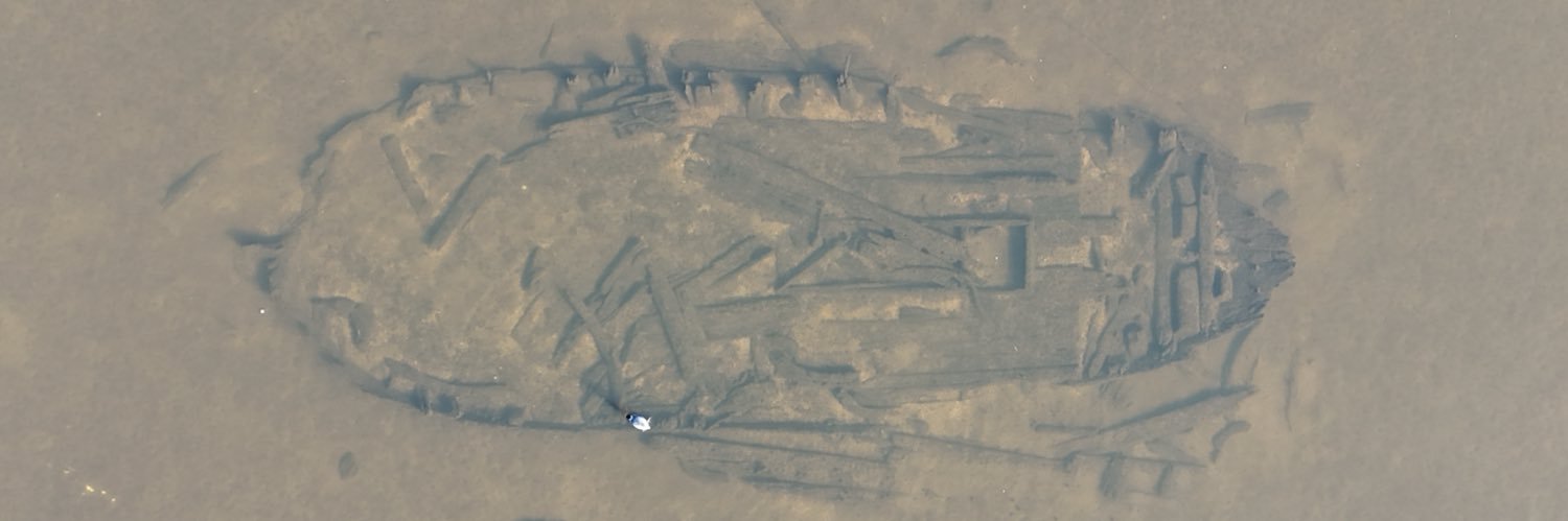 Pieter de Vos banner