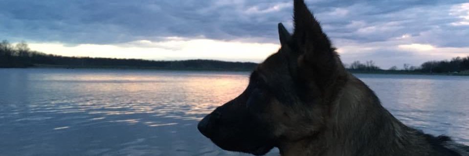 Elozano__'s profile banner image