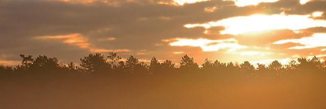 Mitta_08's profile banner image