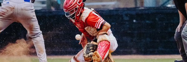 dom_davis6 Profile Banner