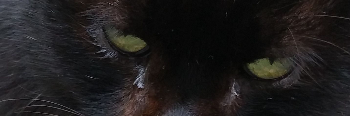 wdo_drum's profile banner image