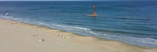 binga_cat Profile Banner