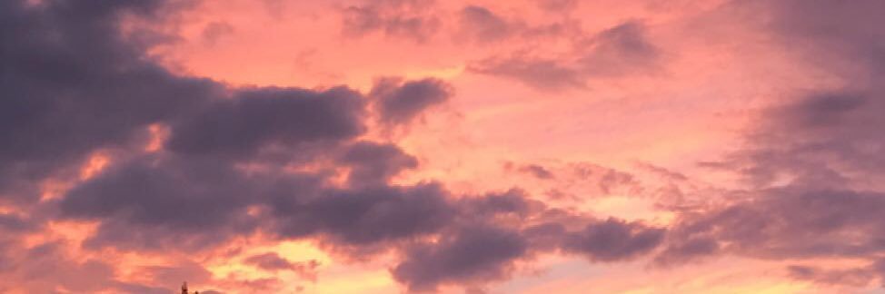 kaittree's profile banner image
