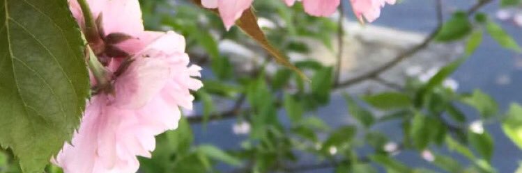 besoo0s's profile banner image