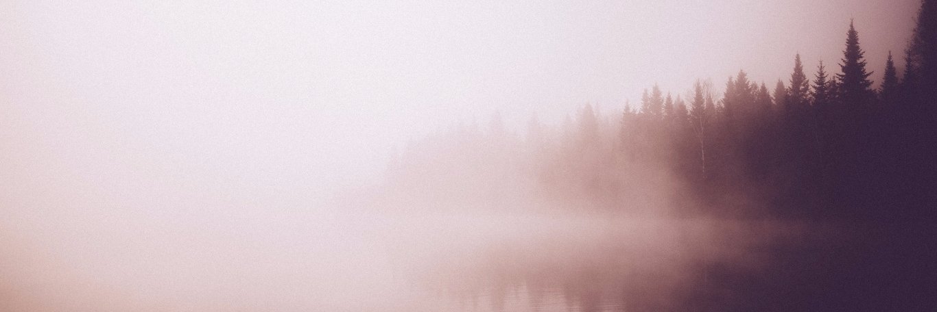 AngelicaCMM's profile banner image