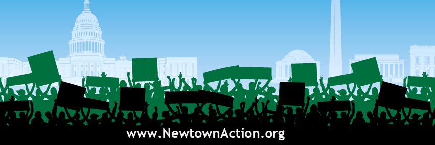 Newtown Action Alliance's banner