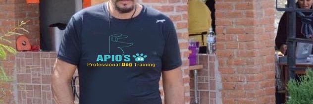 Gabriel lozano banner