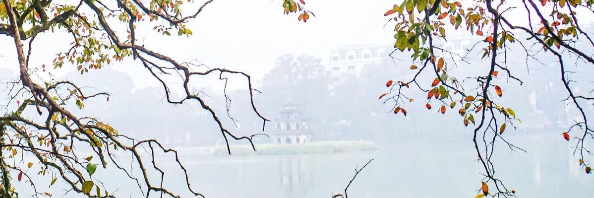 🔻🇵🇸tình ta biển bạc đồng xanh banner