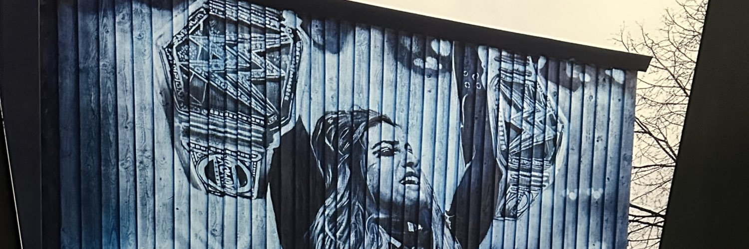 nvrsn17's profile banner image