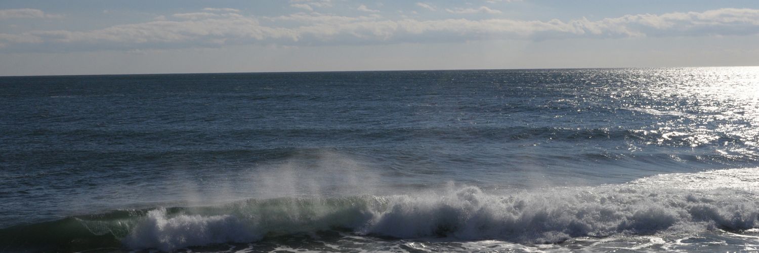 Austin Whitman banner