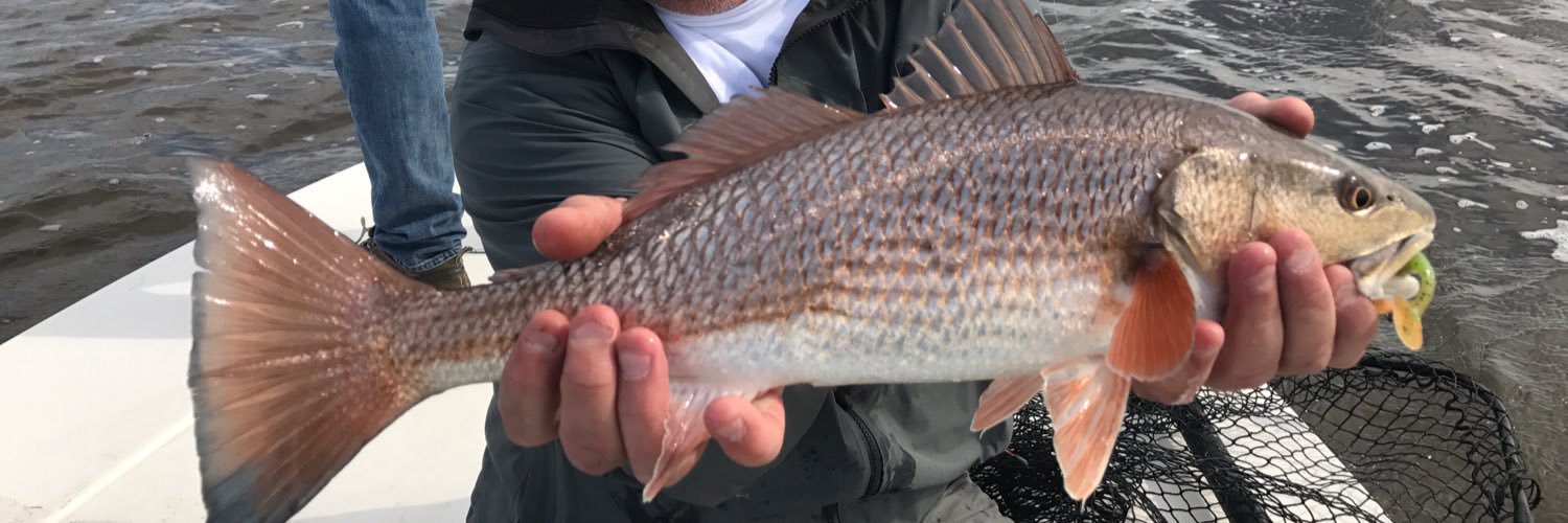 Strike First Bait Company banner