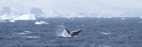 luke_batts Profile Banner