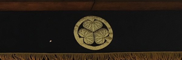 honey___dragon2 Profile Banner