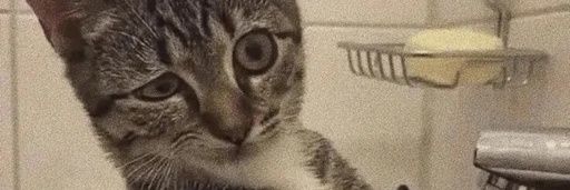 ivanivaniva10's profile banner image