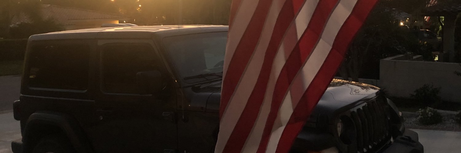 USAF VET banner