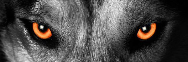 LourdesSoftball Profile Banner