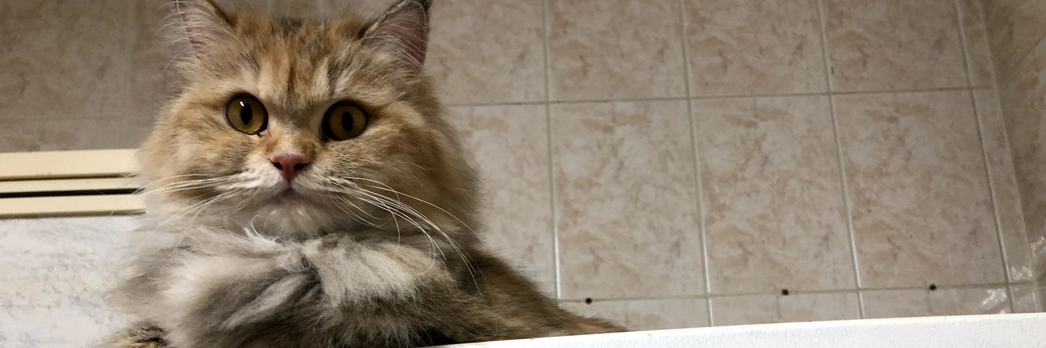 Jazuli67's profile banner image