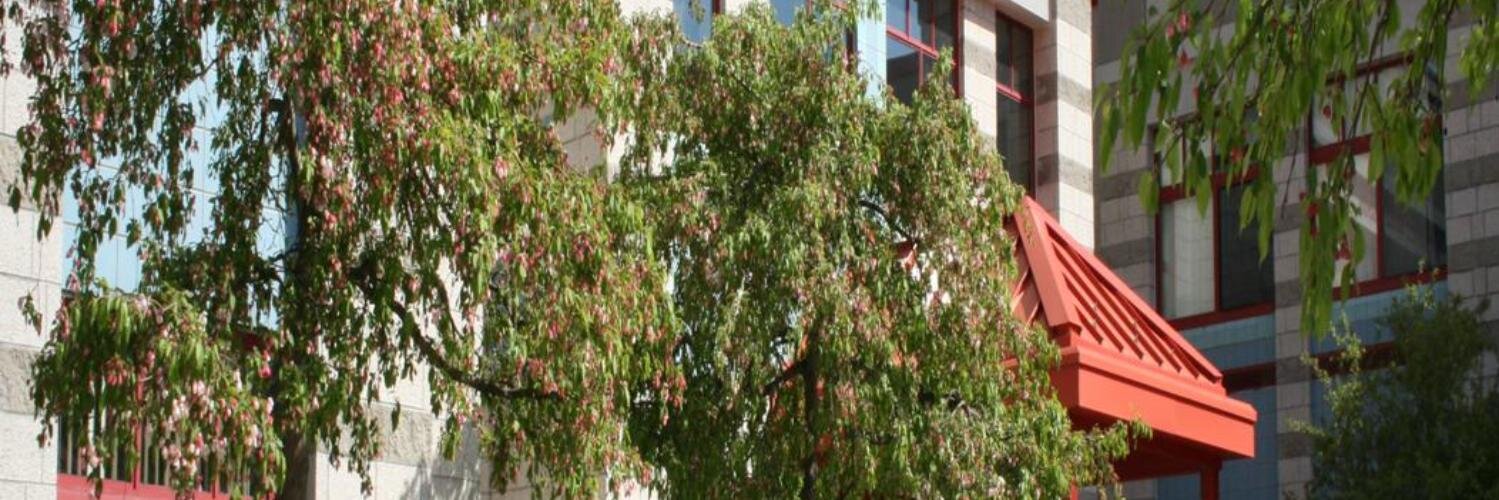 NFMiddleSchool banner