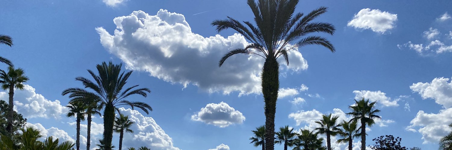 VoiceofRevival1's profile banner image