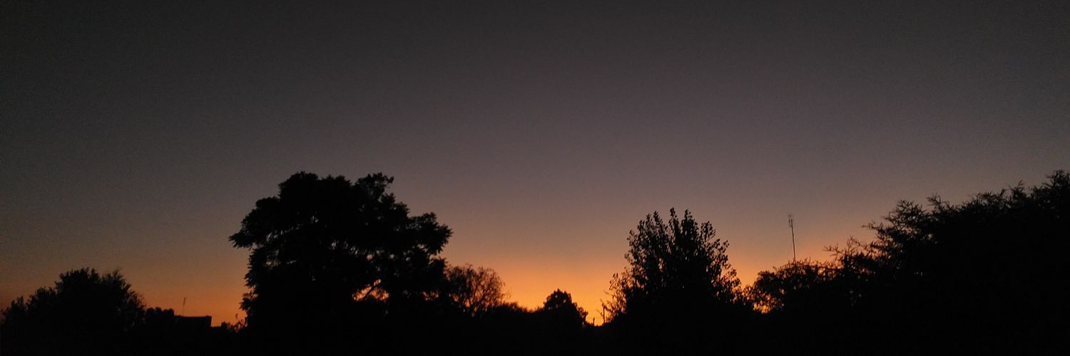 Julipaz98's profile banner image