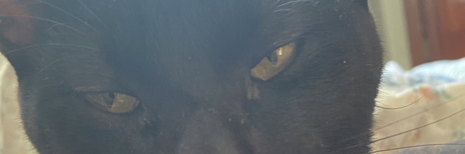_pseudoeu_'s profile banner image