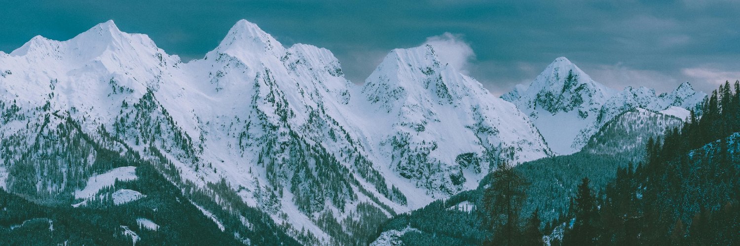 (개장)FROZEN LEAVE banner