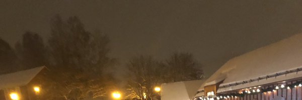 fsforfuzzy Profile Banner