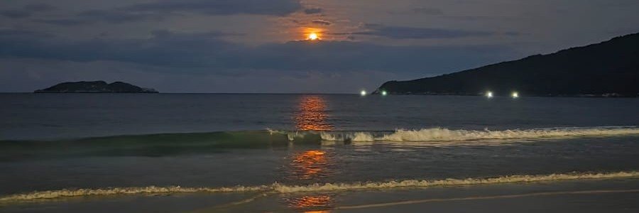 taticrolla's profile banner image