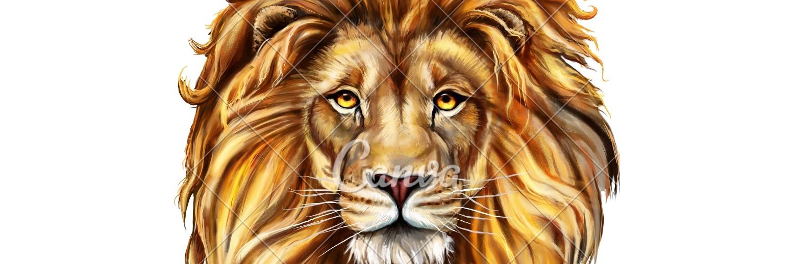 Eternl Energy banner