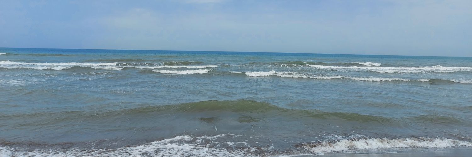 🇮🇷🦉رقصنده با جغد🦉 banner