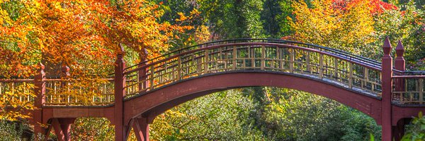 AlainaShreves Profile Banner