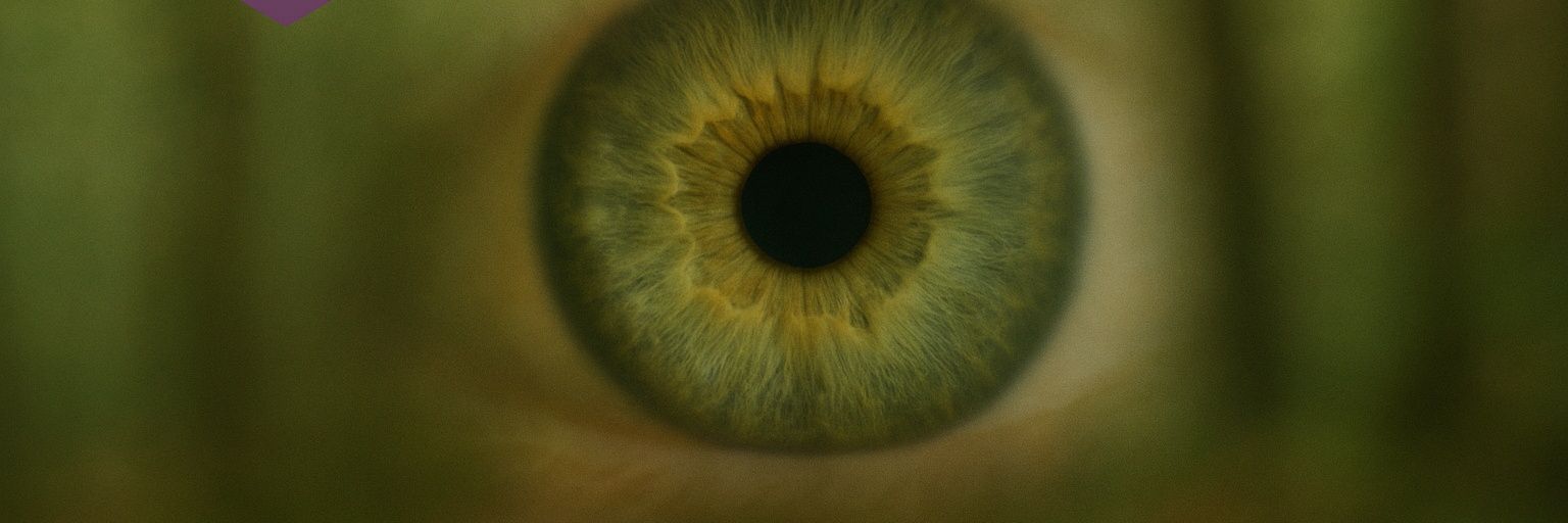 alaeddindurmaz's profile banner image
