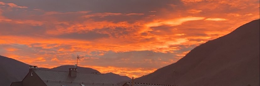 Lucía banner