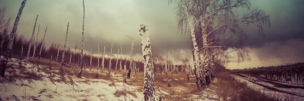TaliSSSman's profile banner image