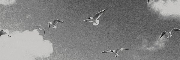 Refrenums Profile Banner