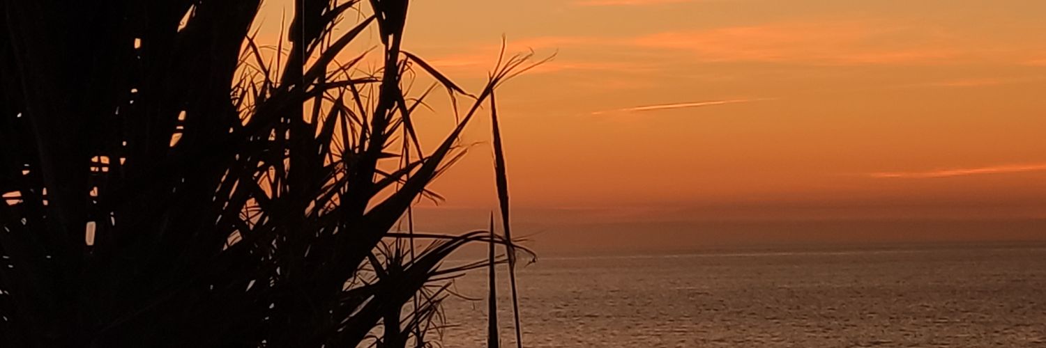 rociofernandee's profile banner image