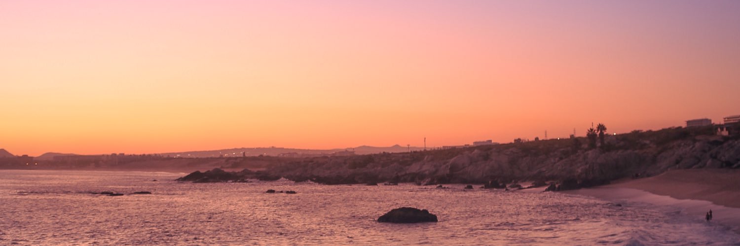 Blomarck's profile banner image