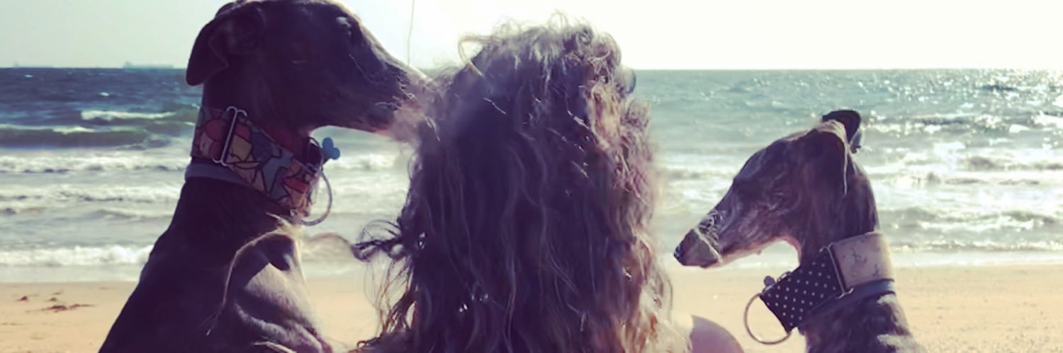 Miriam__HS's profile banner image
