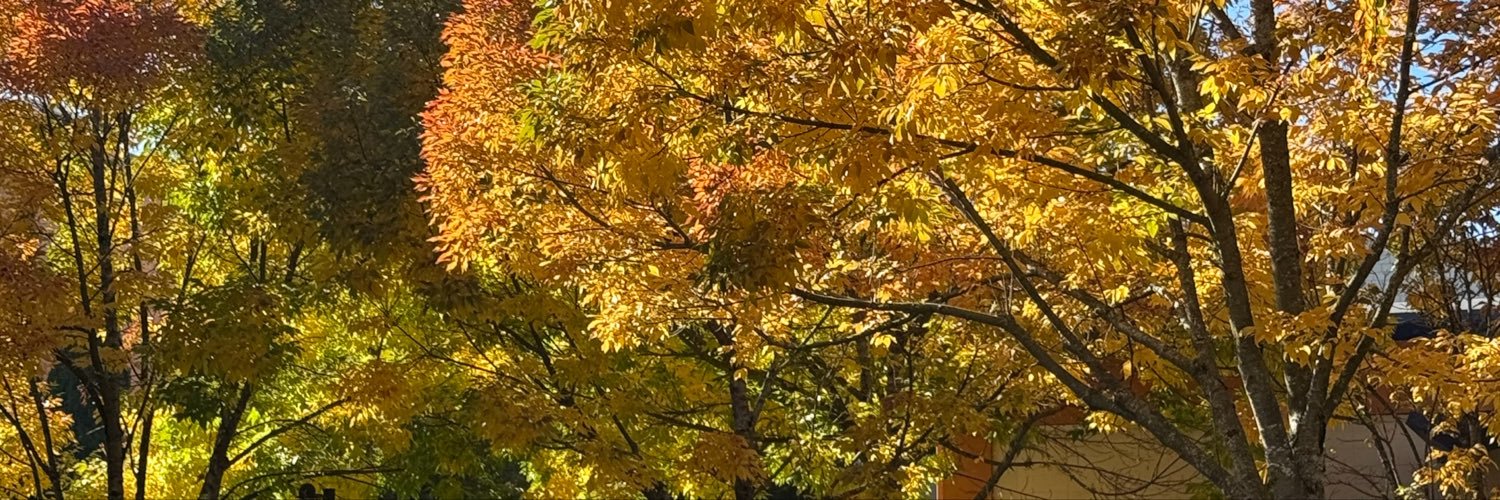 _erikwithak's profile banner image