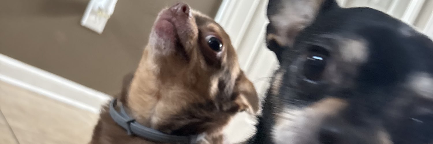 ohgoditsPhoenix's profile banner image