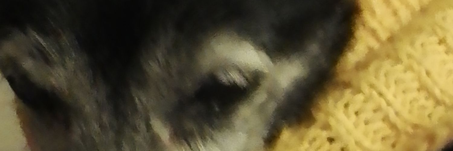 awkward1110's profile banner image