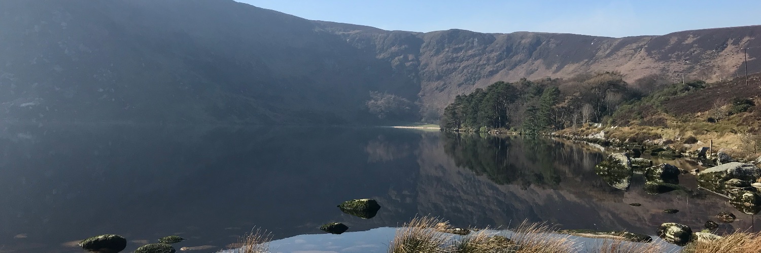 Georgia Dempsey banner