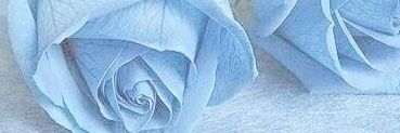 Aeron Phillips banner