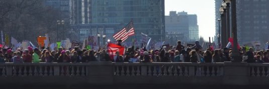 Liz Homsy banner