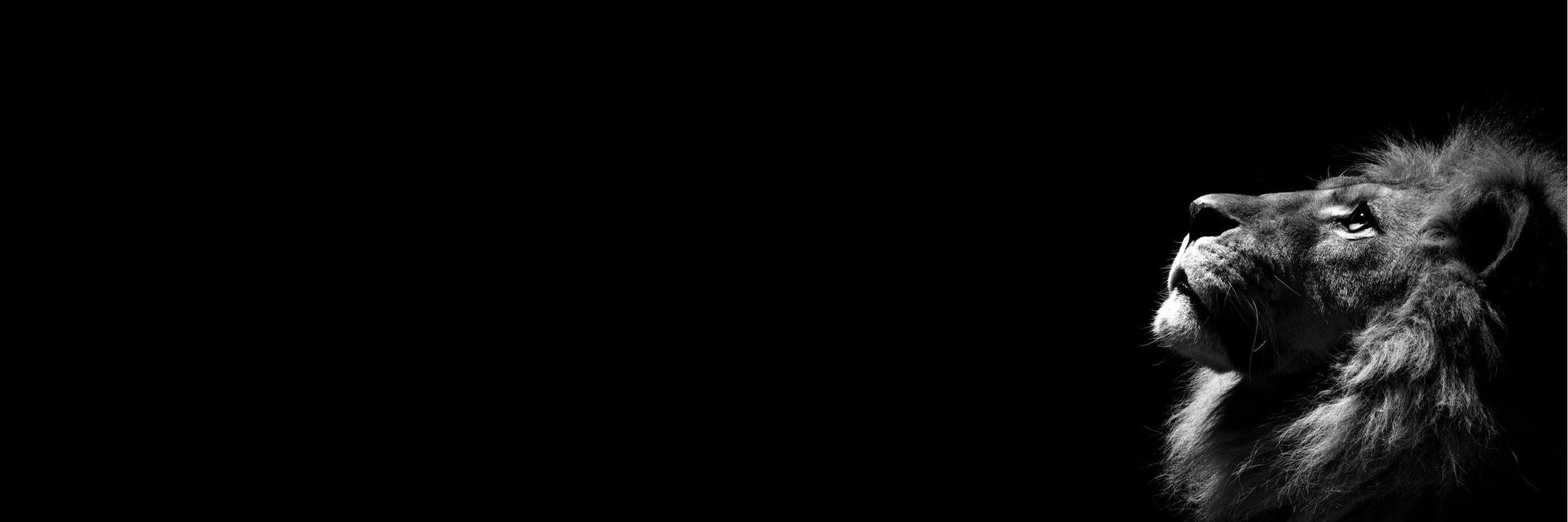 Cindouille53's profile banner image