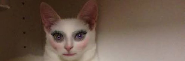 hannah (flight risk) banner