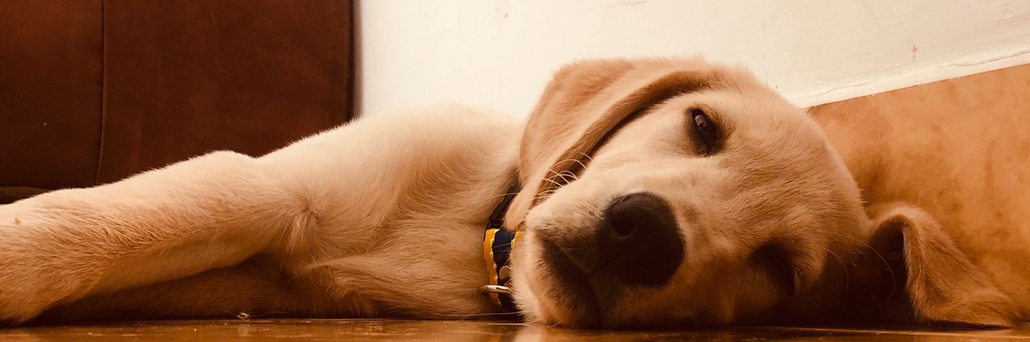 geraldt29's profile banner image
